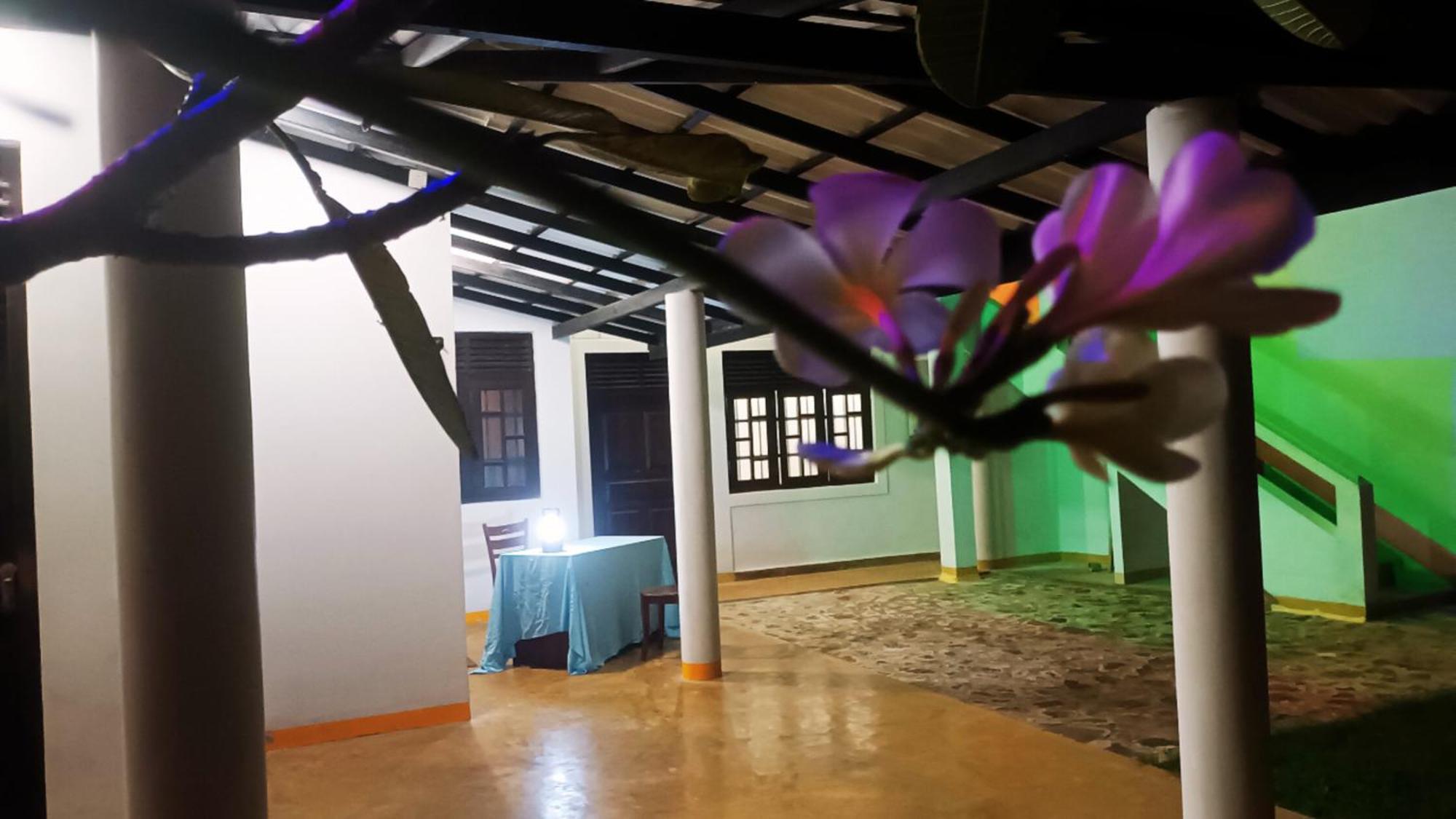 Greenery Lanka Villa Унаватуна Екстер'єр фото